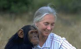 Highlights from the Happiness and Its Causes conference - 16th June : Jane Goodall