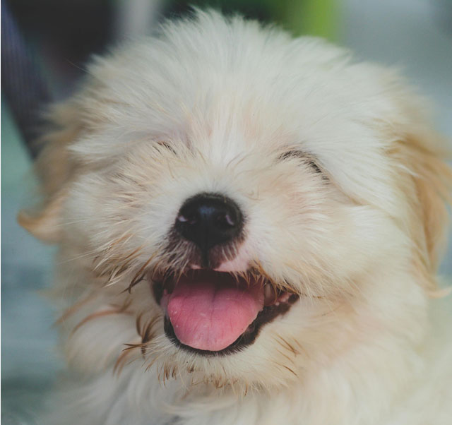 3 Ways to make yourself happier