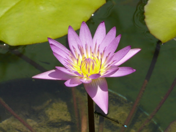 Beauty of nature