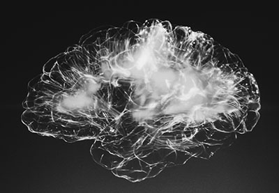 Intelligence Quotient Test